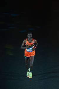 BIB: 42553
                            <button type="button" onclick="openModal(22933659)" class="btn btn-primary btn-sm float-right btn-popup" data-toggle="modal" data-target=".modal-high-quality">
                        <i class="fas fa-shopping-cart"></i> Add to Cart
                    </button>
                                            <button type="button" onclick="isThisMe(22933659, true)" class="btn btn-success btn-sm float-right btn-popup btn-isme hidden" data-toggle="tooltip" data-placement="bottom" title="นี่คือรูปของคุณใช่ไหม คลิกที่นี่เพื่อเอาเข้าอัลบั้ม">
                        <i class="fas fa-plus"></i> Add to album
                    </button>
                    <button type="button" onclick="isThisMe(22933659, false)" class="btn btn-warning btn-sm float-right btn-popup btn-isnotme hidden">
                        <i class="fas fa-ban"></i> Remove from album
                    </button>